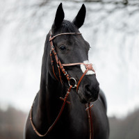 Bridon Valencia Kruisneusriem met strass Bruin