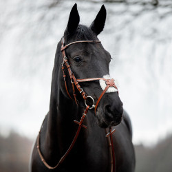 Bridon Valencia Kruisneusriem met strass Bridon Valencia Kruisneusriem met strass