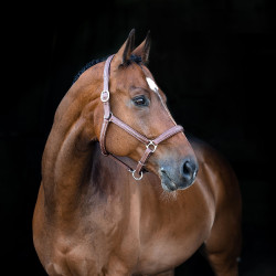 Warren zacht leren halster Horze