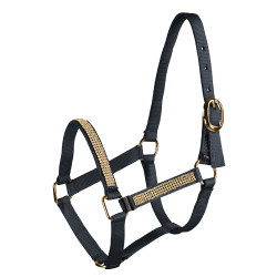 Veulenhalster met strass Horze Veulenhalster met strass Horze