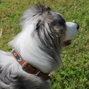 Halsband voor hond Pénélope Pearl Halsband voor hond Pénélope Pearl