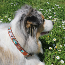 Halsband voor hond Pénélope Pearl Halsband voor hond Pénélope Pearl