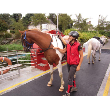 DELTA DIAM - SOL ALLEE ECURIE