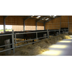 Caoutchouc MC 3000mm - Séparation de box