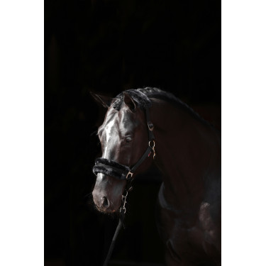 Halster Classic Soft Covalliero Zwart