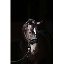 Halster Classic Soft Covalliero Zwart