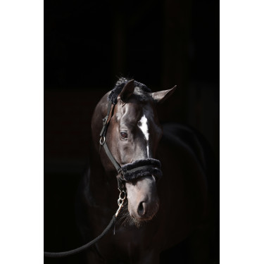 Halster Classic Soft Covalliero Zwart