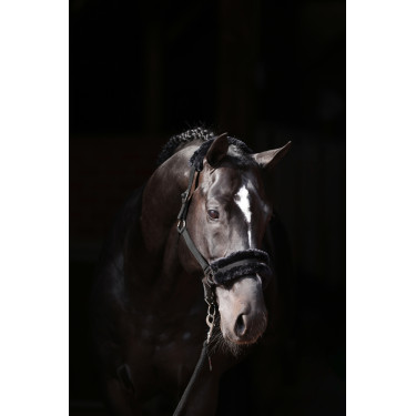 Halster Classic Soft Covalliero Zwart