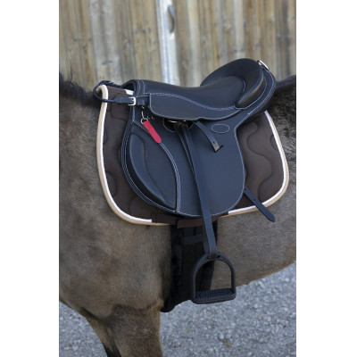 Zadel bardette Guy Cantin Evolution jumping Zwart