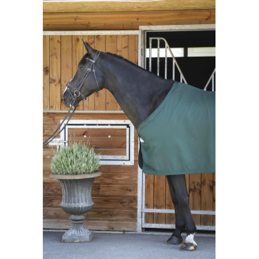 Paddock Sports Presentatiehemd Groen