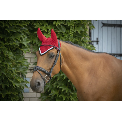 Paddock Sport Bonnet Origine Rood