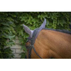 Paddock Sport Bonnet Origine Paddock Sport Bonnet Origine
