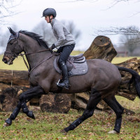 LeMieux Zelfkoelende Close Contact Vierkante Zadeldek Grijs LeMieux Zelfkoelende Close Contact Vierkante Zadeldek Grijs