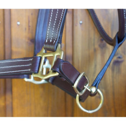 Leren halster T de T drievoudig gestikt nylon versteviging Donkerbruin