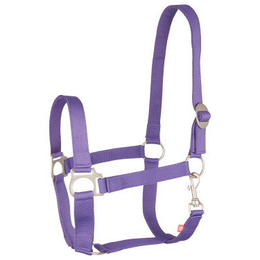 Halster Imperial Riding Economic Koninklijk Paars Violet Halster Imperial Riding Economic Koninklijk Paars Violet