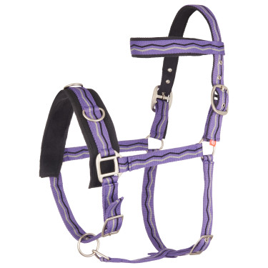 Nylon longeerhalster Imperial Riding Koninklijk Paars Violet