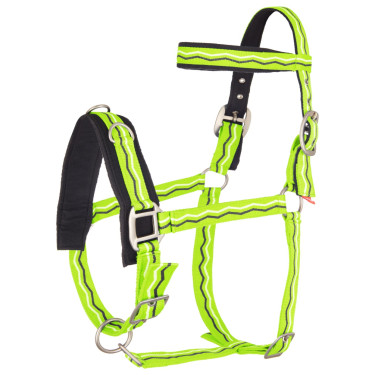 Nylon longeerhalster Imperial Riding Groen neon