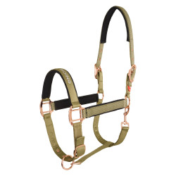 Halster Imperial Riding Belle Star