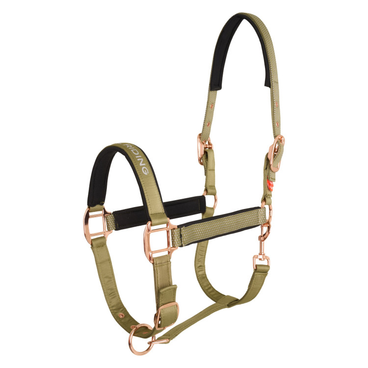Halster Imperial Riding Belle Star