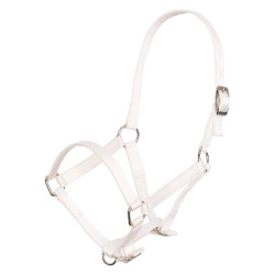 Nylon veulenhalster met verstelbare kopriem en neusriem Imperial Riding Nylon veulenhalster met verstelbare kopriem en neusriem Imperial Riding