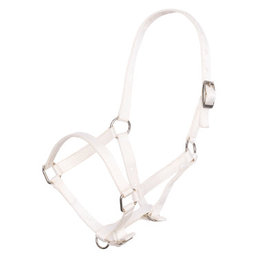 Nylon veulenhalster met verstelbare kopriem en neusriem Imperial Riding Nylon veulenhalster met verstelbare kopriem en neusriem Imperial Riding