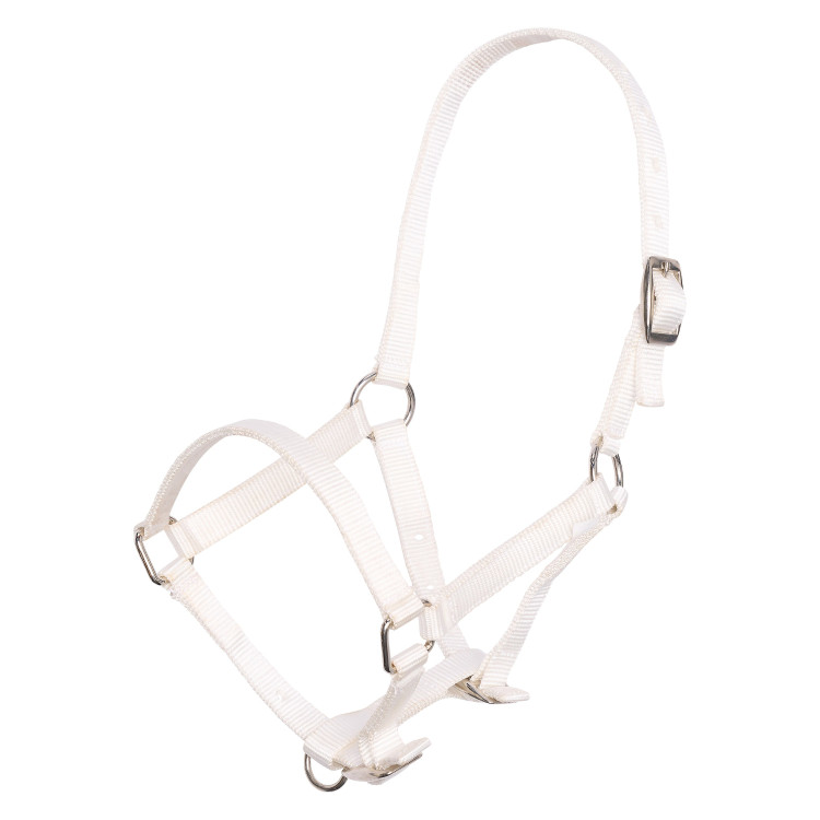 Nylon veulenhalster met verstelbare kopriem en neusriem Imperial Riding Nylon veulenhalster met verstelbare kopriem en neusriem Imperial Riding