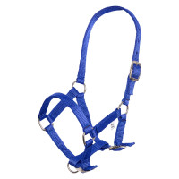 Nylon veulenhalster met verstelbare kopriem en neusriem Imperial Riding Donkerblauw Nylon veulenhalster met verstelbare kopriem en neusriem Imperial Riding Donkerblauw
