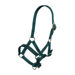 Nylon veulenhalster met verstelbare kopriem en neusriem Imperial Riding Bosgroen Nylon veulenhalster met verstelbare kopriem en neusriem Imperial Riding Bosgroen