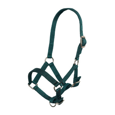 Nylon veulenhalster met verstelbare kopriem en neusriem Imperial Riding Bosgroen Nylon veulenhalster met verstelbare kopriem en neusriem Imperial Riding Bosgroen