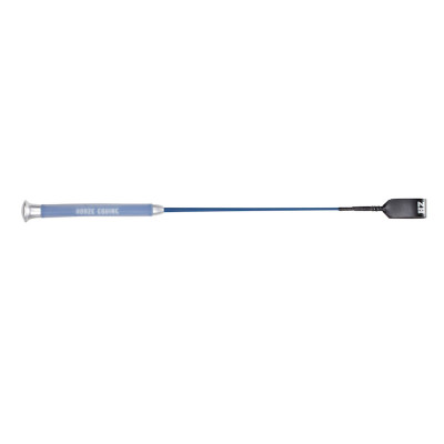 RIJZWEIPEL C.S.O ASHTON Blauw