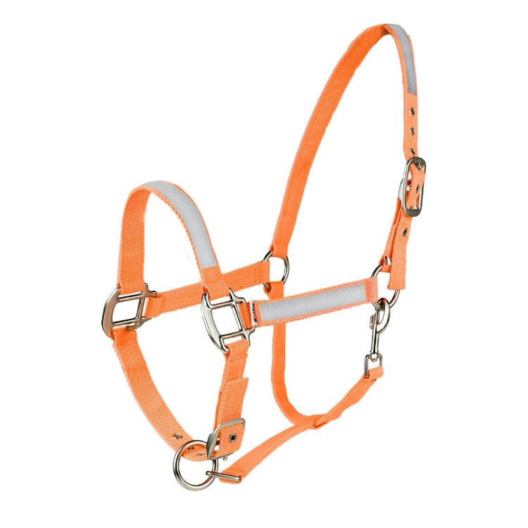 Fluo Halster Horze