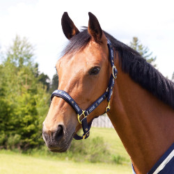 Halster Hamptons Horze Blauw