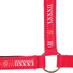 Halster Hamptons Horze Halster Hamptons Horze