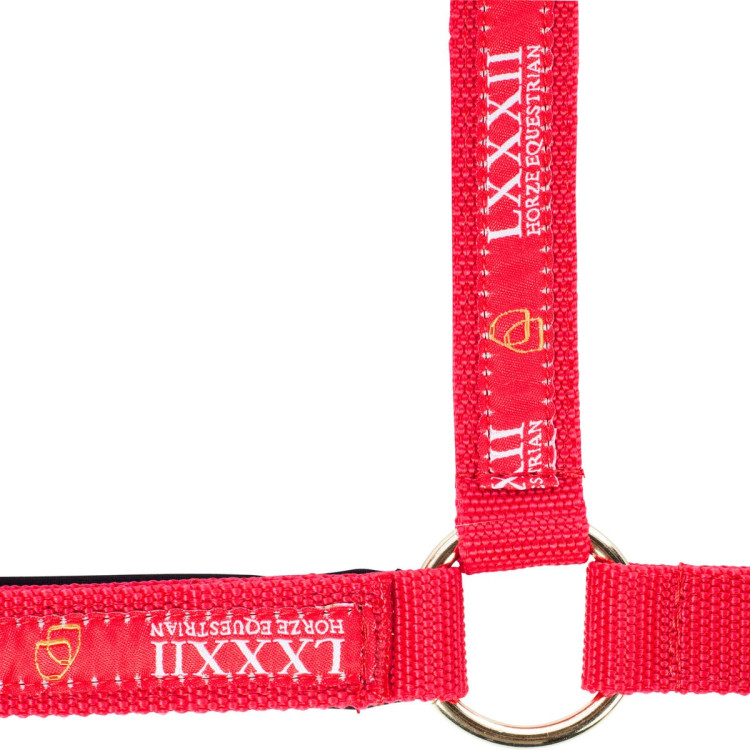 Halster Hamptons Horze Halster Hamptons Horze