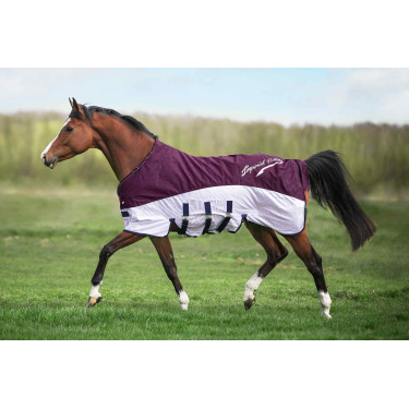 Vliegendeken en regenhoes Imperial Riding Super-dry Vliegendeken en regenhoes Imperial Riding Super-dry