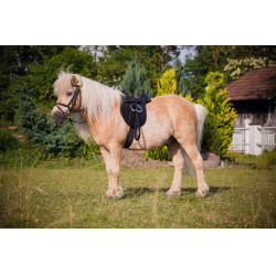PONYZADEL ECONOMY PONYZADEL ECONOMY