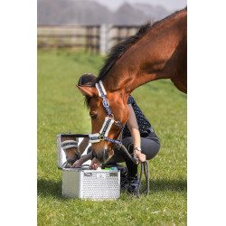 Poetskoffer Imperial Riding Shiny Zilver Poetskoffer Imperial Riding Shiny Zilver