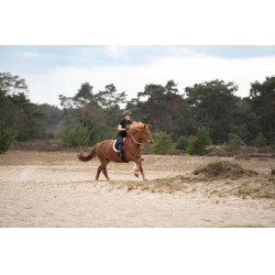 Imperial Riding Free Ride halsring Imperial Riding Free Ride halsring
