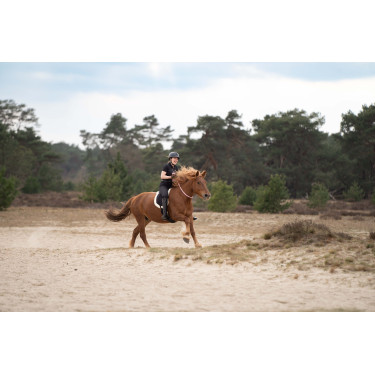 Imperial Riding Free Ride halsring Imperial Riding Free Ride halsring