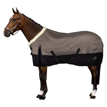 HV Polo Francis staldeken HV Polo Francis staldeken