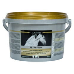 Equistro Art Phyton Equistro Art Phyton