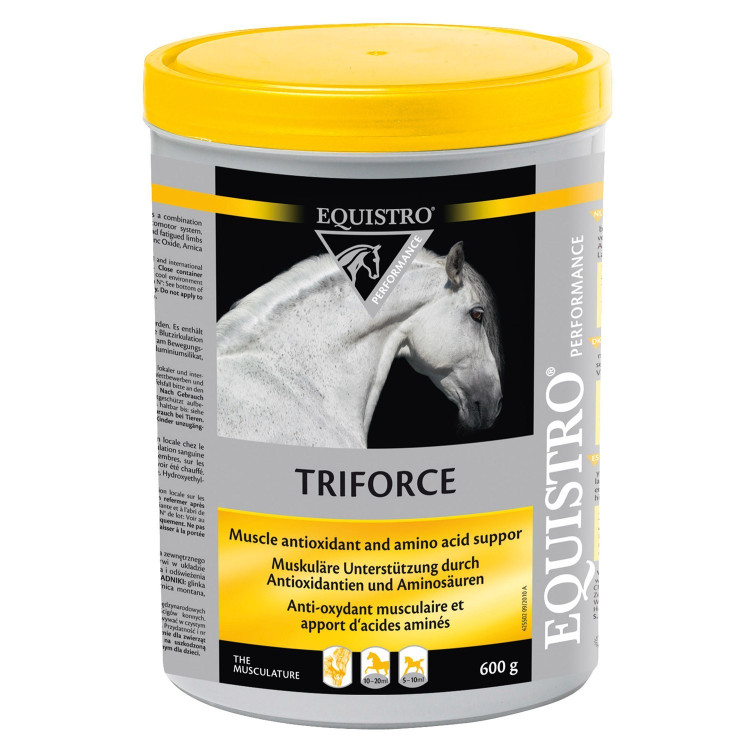 EQUISTRO TRIFORCE EQUISTRO TRIFORCE