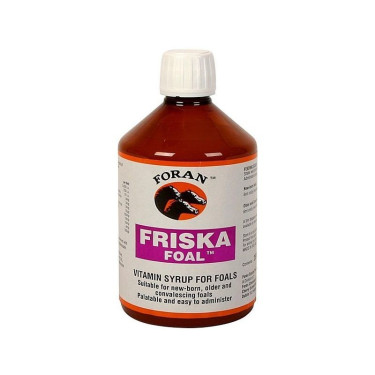 Friskal Veulen Vooran Friskal Veulen Vooran