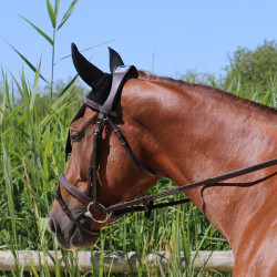 Halter Met Manet Brug T van T Halter Met Manet Brug T van T