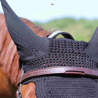 Halter Met Manet Brug T van T Donker Havana Bruin Halter Met Manet Brug T van T Donker Havana Bruin