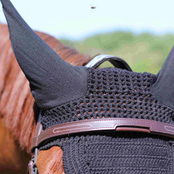 Halter Met Manet Brug T van T Halter Met Manet Brug T van T