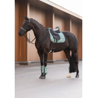 Dressuurbeschermers Imperial Riding Lovely Saliegroen Blauw Dressuurbeschermers Imperial Riding Lovely Saliegroen Blauw