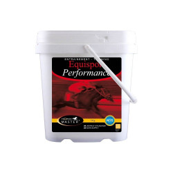 Equisport Prestatiepaarden Meester