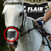 Flair Neusstrip Zwart