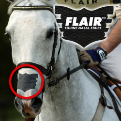 Flair Neusstrip Flair Neusstrip